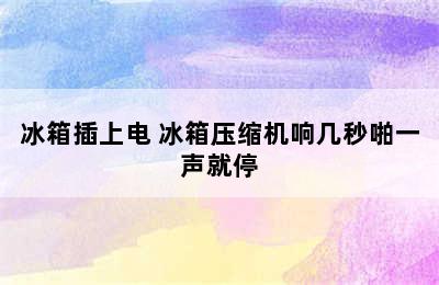 冰箱插上电 冰箱压缩机响几秒啪一声就停